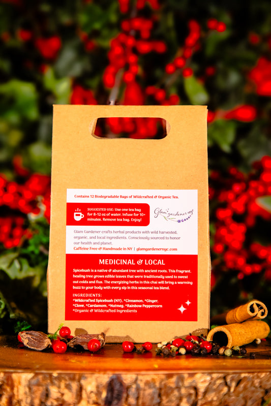 SPICEBUSH CINNAMON CHAI | Pre-bagged herbal tea with seasonally wildcrafted Spicebush | Warming, spiced, sweet