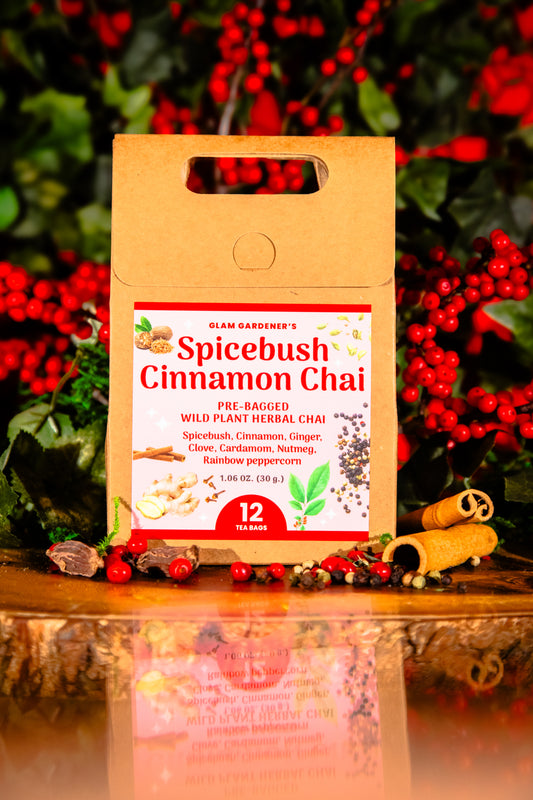 SPICEBUSH CINNAMON CHAI | Pre-bagged herbal tea with seasonally wildcrafted Spicebush | Warming, spiced, sweet