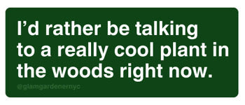 A sticker made by Glam Gardener NYC that says “I’d rather be talking to a really cool plant in the woods right now.” The sticker is hunter green, with white text, is rectangular, and features rounded corners. The background is white.