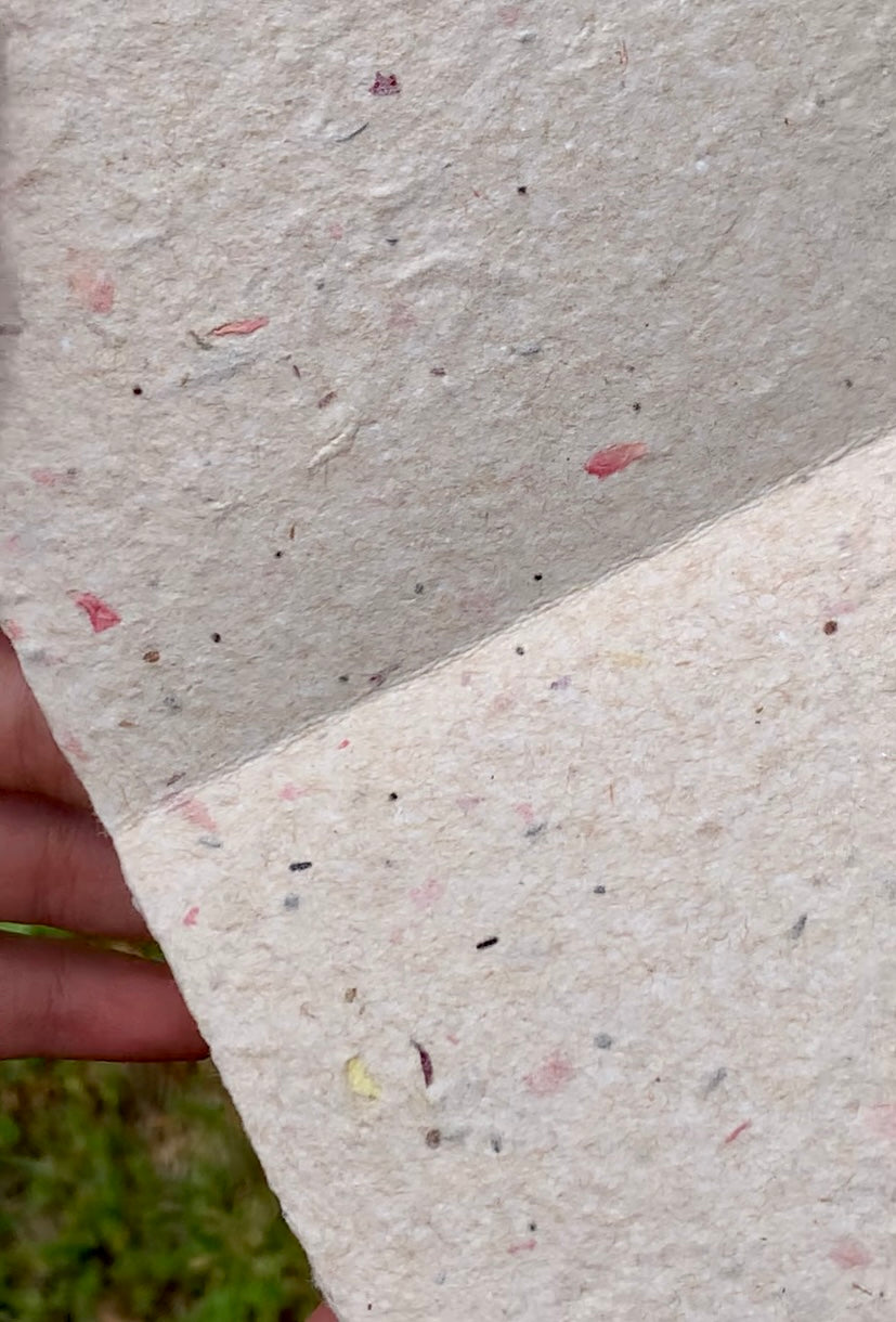 i would still love you if you were a worm card made from plantable seed paper