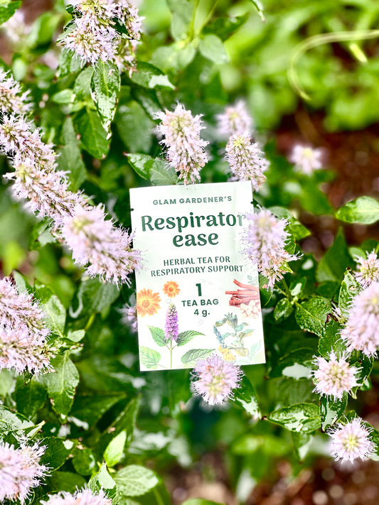 A single tea bag packet labeled 'Glam Gardener's Respirator ease Herbal Tea for Respiratory Support' is nestled among green leaves and light pink flowers outdoors.