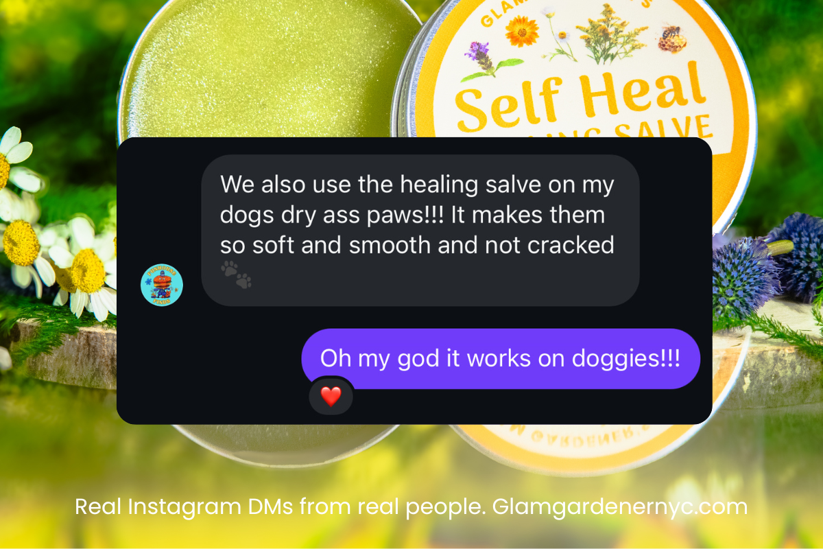 Glam Gardener's Self Heal Salve review, we also use the healing salve on my dogs dry paws, it makes them so soft and smooth and not cracked.