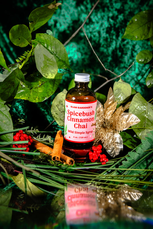 Glam Gardener's Spicebush Cinnamon Chai Simple Syrup with organic and wildcrafted ingredients. Cinnamon, Wild Spicebush (Lindera benzoin), Cardamom. Organic sugar and handcrafted. Red label and floral background. Hand harvested wild spicebush leaves. Simple syrup for fall and winter.
