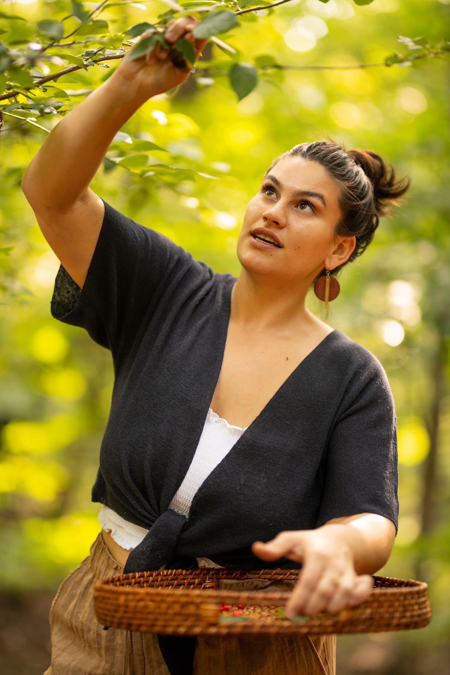 glam gardener nyc harvesting wild plants in new york for herbal products