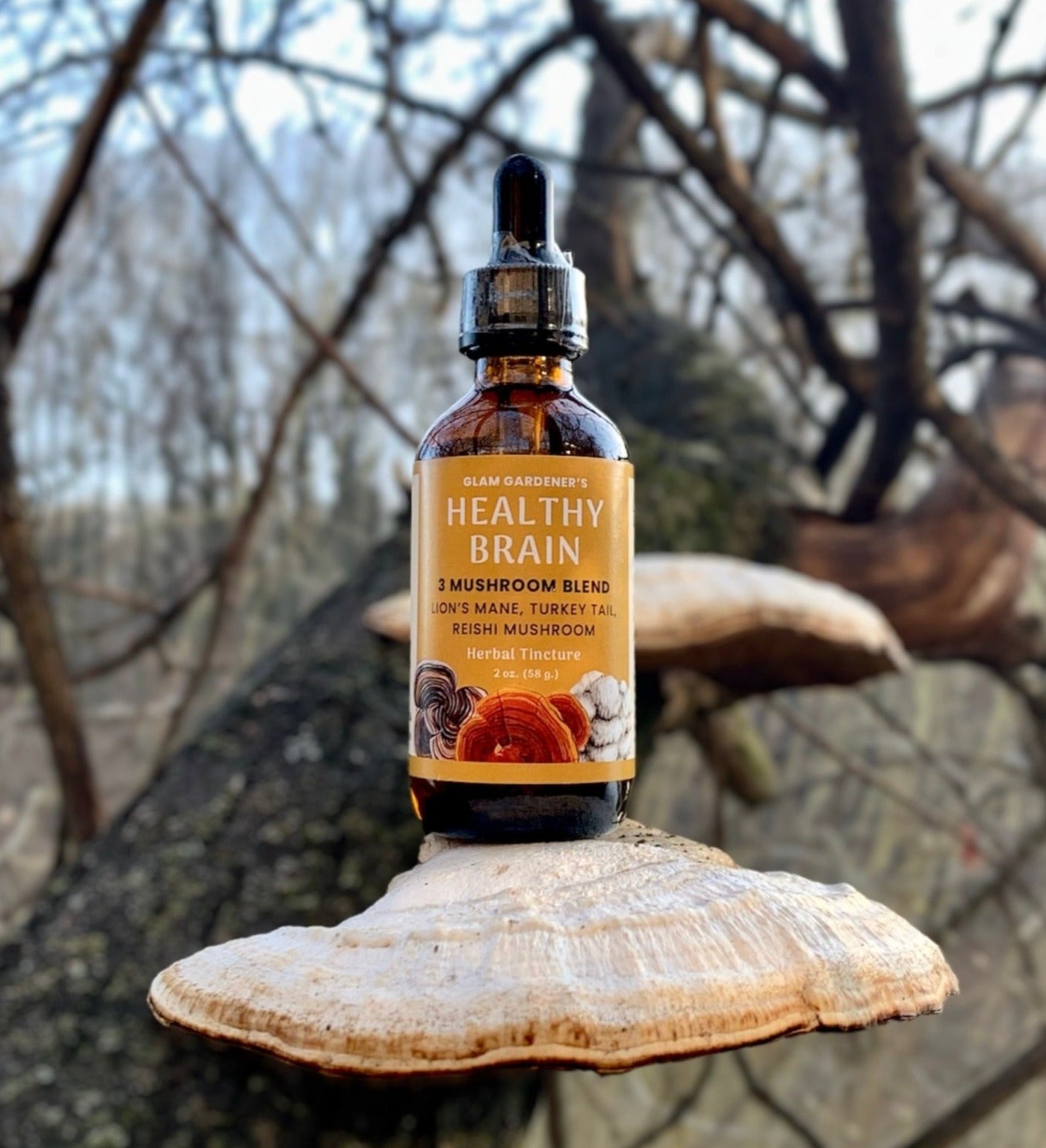 Healthy Brain: Lion's mane, Reishi and Turkey Tail Mushroom Herbal Tincture