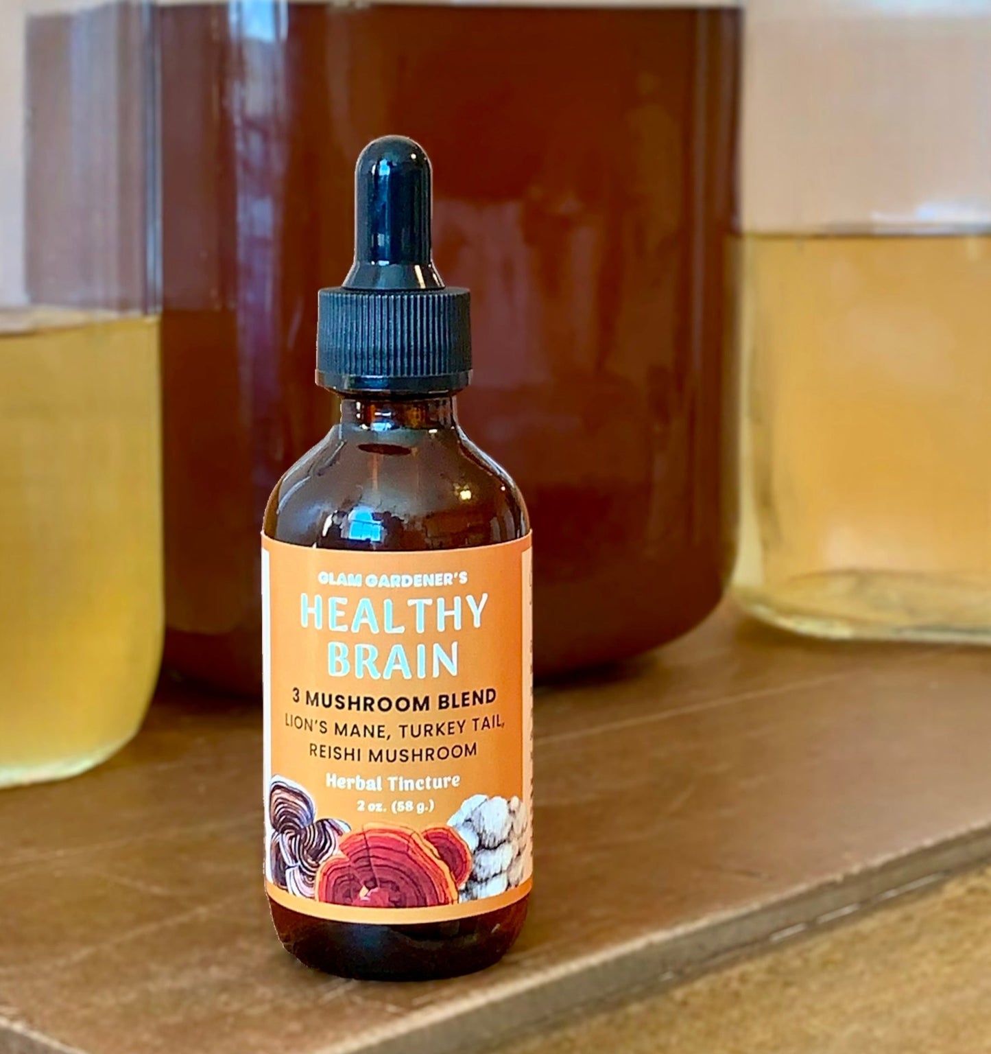 Healthy Brain: Lion's mane, Reishi and Turkey Tail Mushroom Herbal Tincture