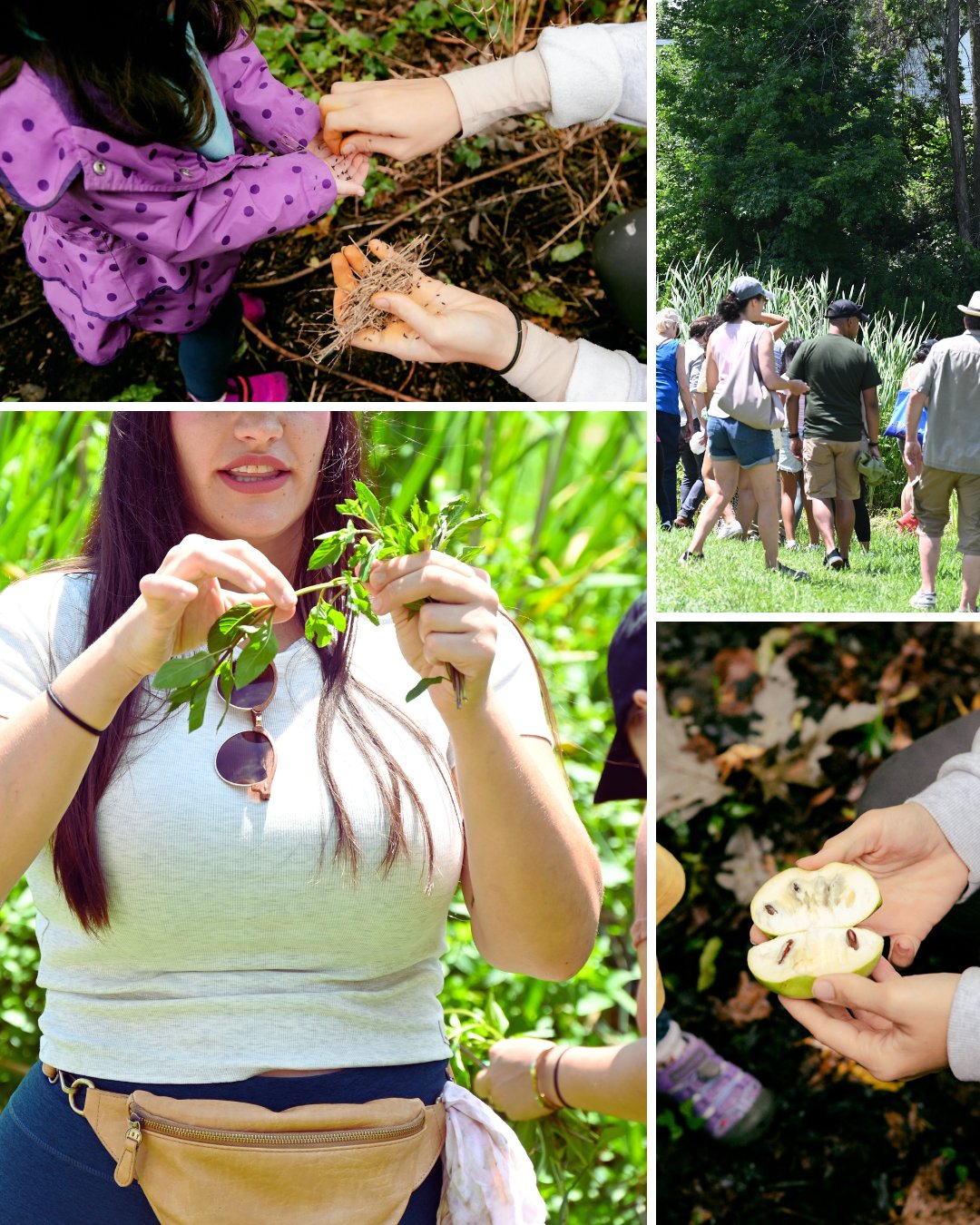 Explore All Workshops, Classes & Events