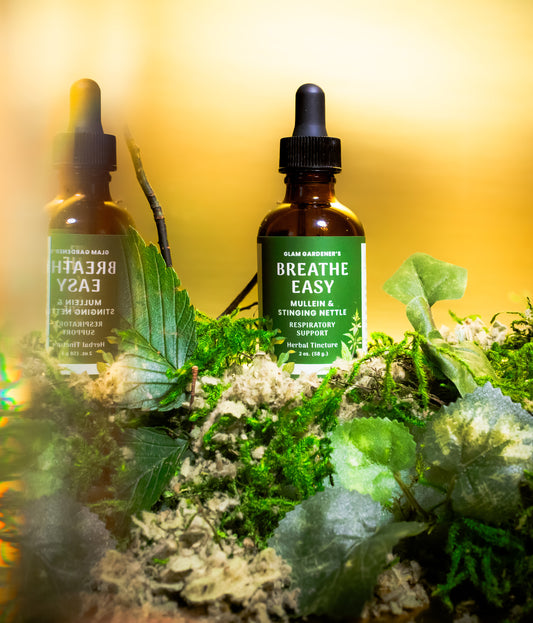 Breathe Easy herbal tincture by Glam Gardener with Mullein and Stinging Nettle for Respiratory support. This herbal tincture is crafted with wildcrafted and organic ingredients.