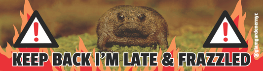 Keep back I'm late and frazzled frog bumper sticker