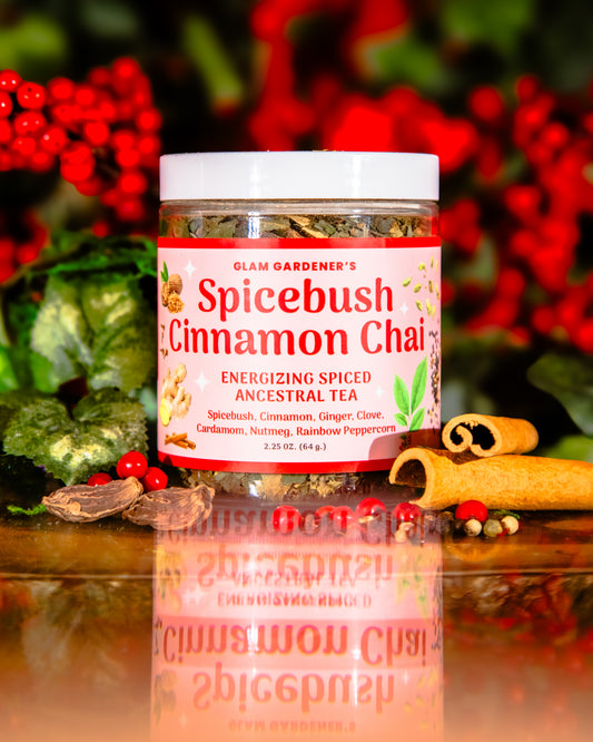 SPICEBUSH CINNAMON CHAI | Looseleaf herbal tea with seasonally wildcrafted Spicebush | Warming, spiced, sweet