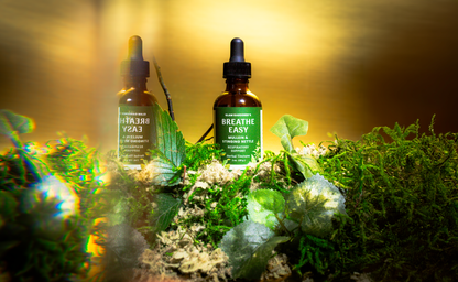 Breathe Easy: Mullein & Stinging Nettle Herbal Tincture | Organic & Wildcrafted