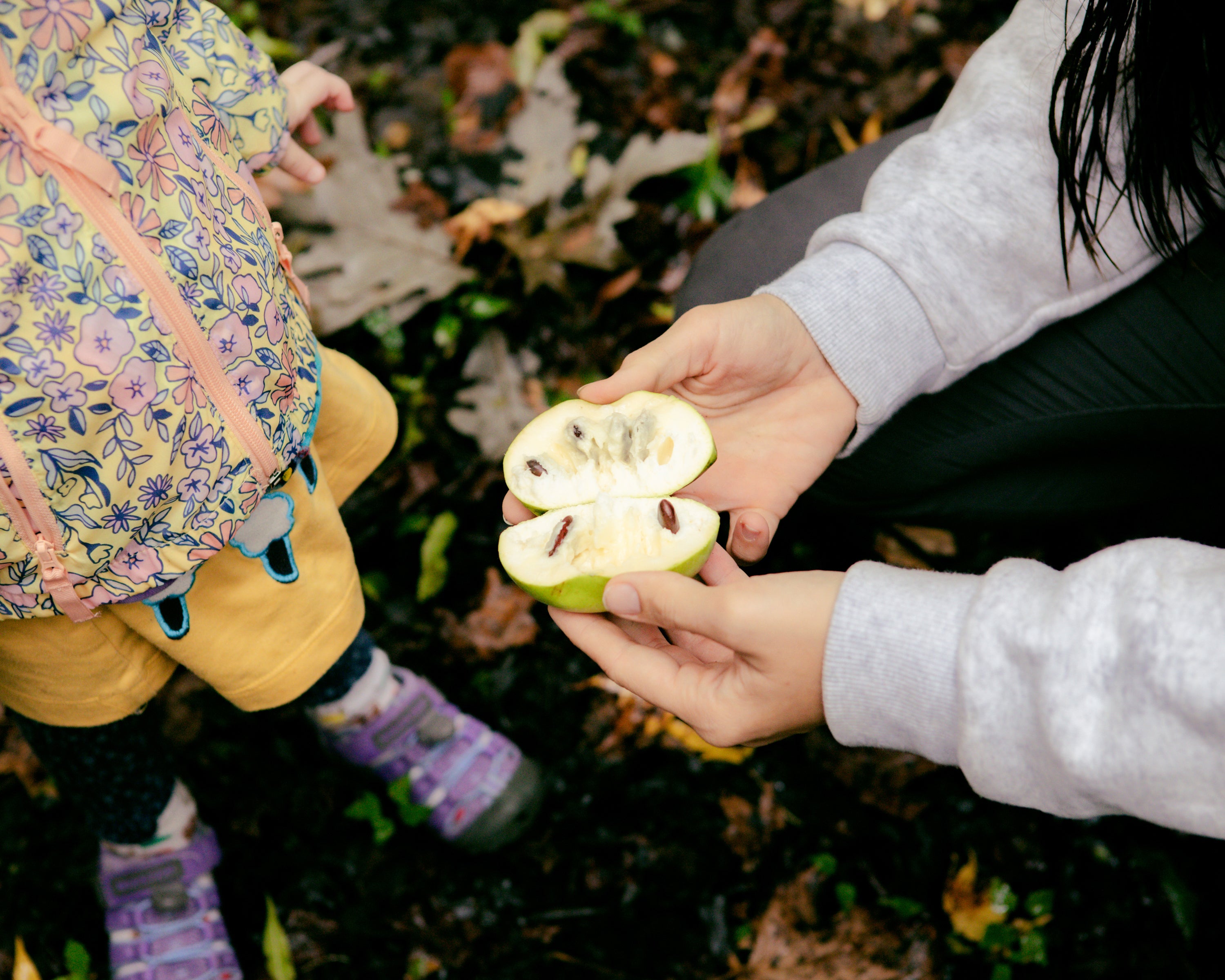 Glam Gardener showing wild growing paw paw fruit to little girl in the Staten Island woods. Photo taken by Dana G for the New York Times, “How an Urban Forager Spends Her Sundays.”
