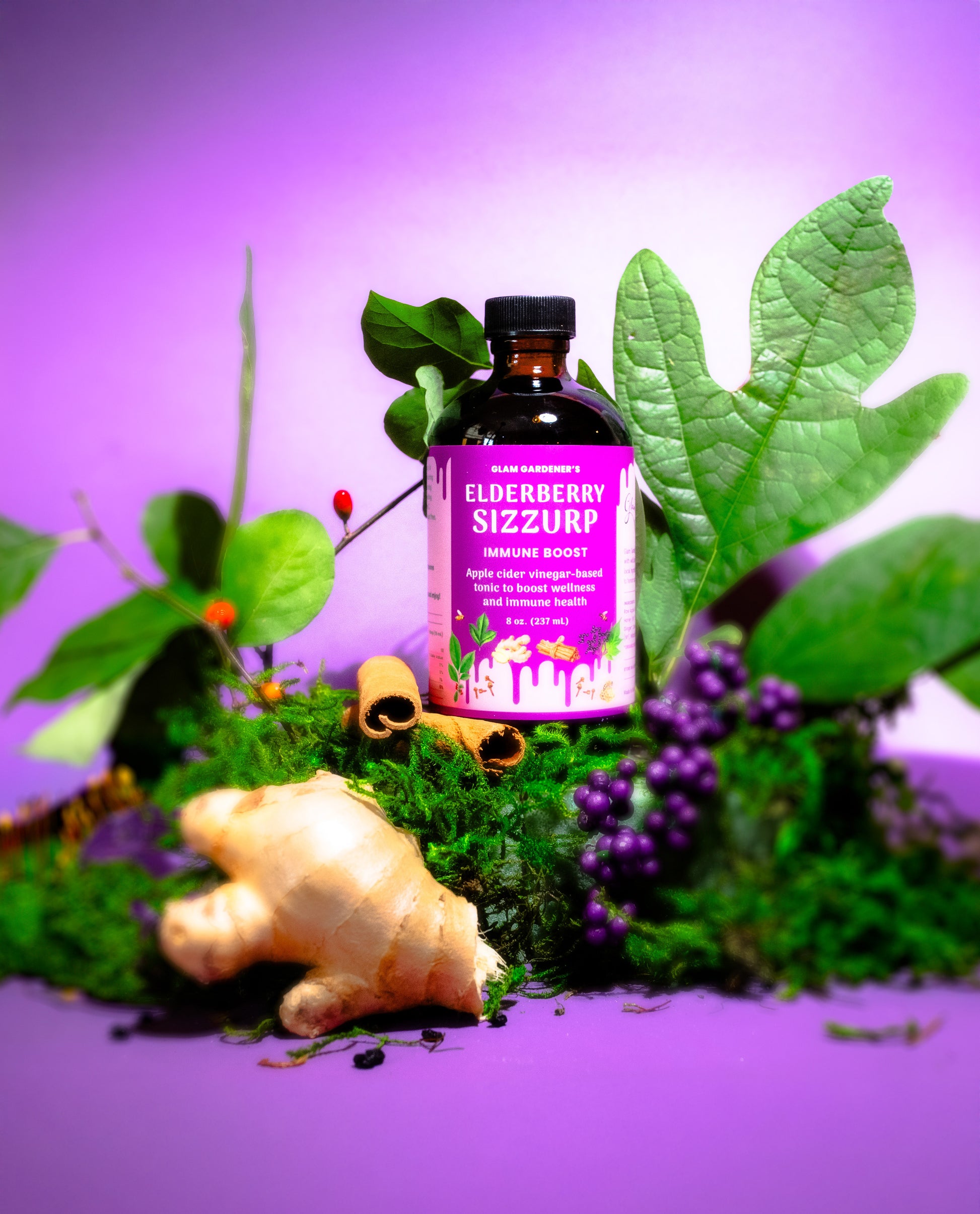 Glam Gardener's Wild elderberry sizZurp with sassafras, spicebush, local honey, and organic raw apple cider vinegar natural cold remedy.