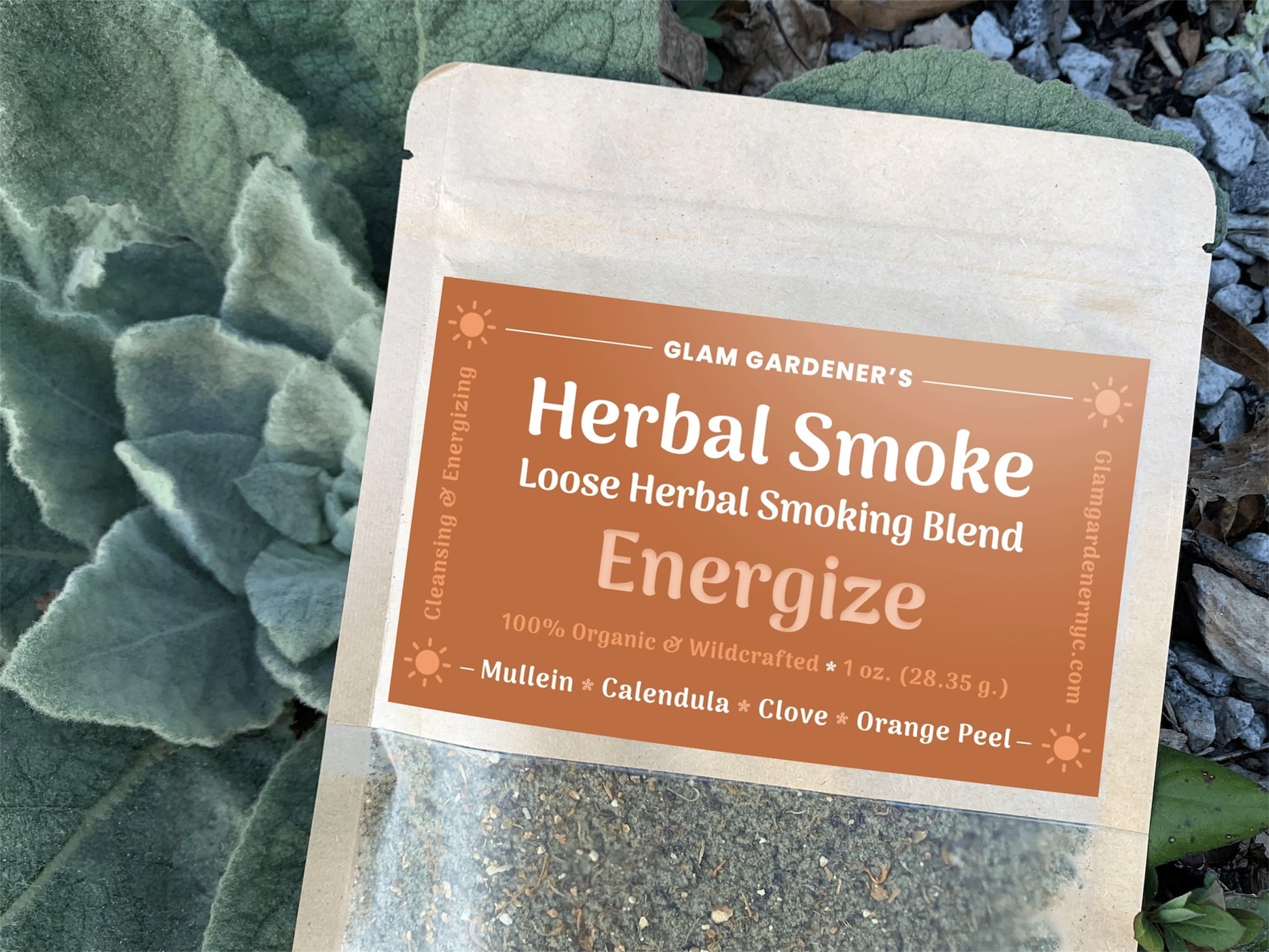 Harvesting mullein in the wild for Energize Herbal Smoking Blend by Glam Gardener NYC with wildcrafted and organic mullein, clove, calendula, and orange peel