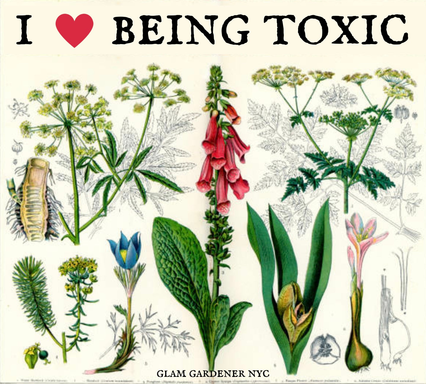 I love being toxic sticker with poisonous plants