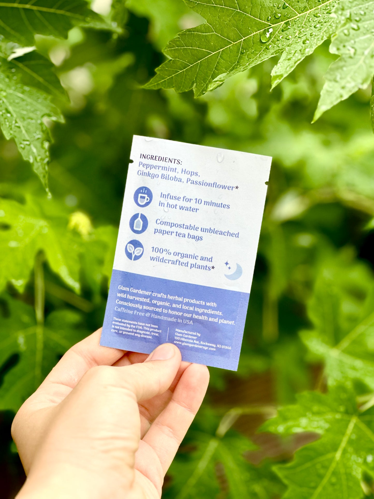 A hand holds a small printed tea bag instruction card in front of green leaves. The card has white and blue sections with text listing ingredients, usage steps, and compostable paper tea bag details. Peppermint Hops Ginkgi Biloba, Passionflower. Compostable paper tea bags with wildcrafted and organic plants