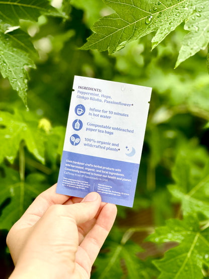 A hand holds a small printed tea bag instruction card in front of green leaves. The card has white and blue sections with text listing ingredients, usage steps, and compostable paper tea bag details. Peppermint Hops Ginkgi Biloba, Passionflower. Compostable paper tea bags with wildcrafted and organic plants