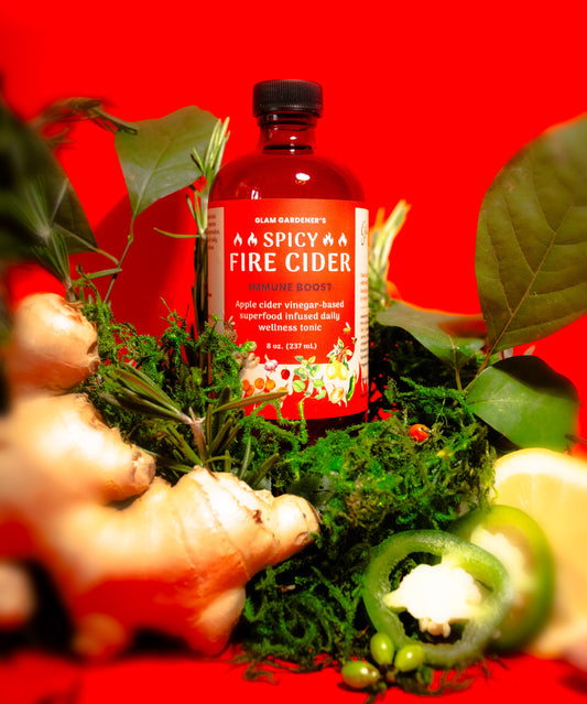 Fire cider (superfood infused daily wellness tonic) with local honey, wild plants, and organic ingredients