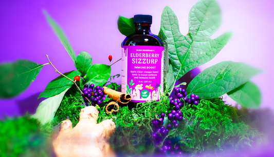 VEGAN Elderberry SizZurp (syrup) • with maple syrup, wild plants, wildcrafted elderberries, and organic ingredients