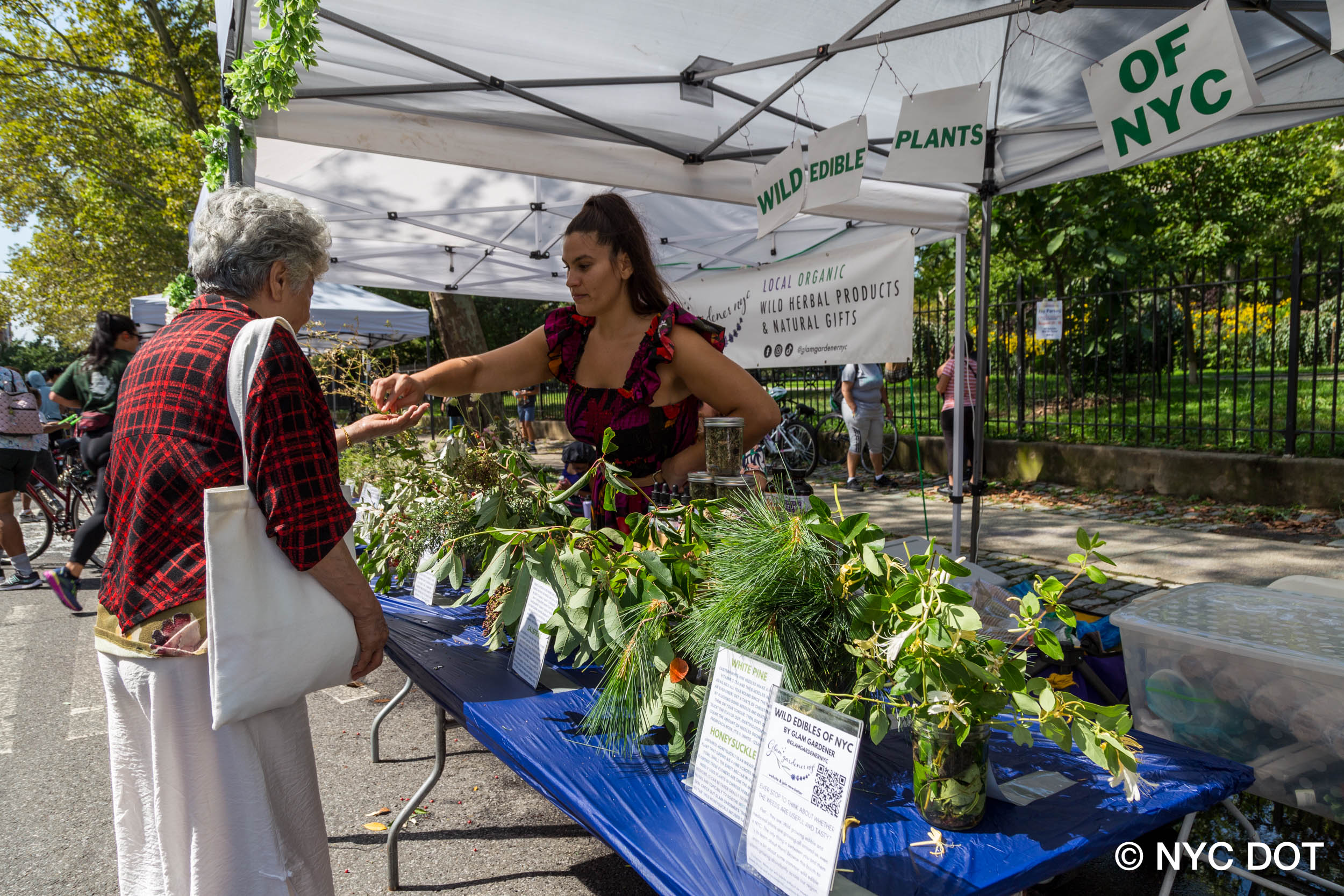 Glam Gardener's Foraging Demonstration at the NYC Department of Transportation's Summer Streets in Brooklyn, Manhattan, and Staten Island