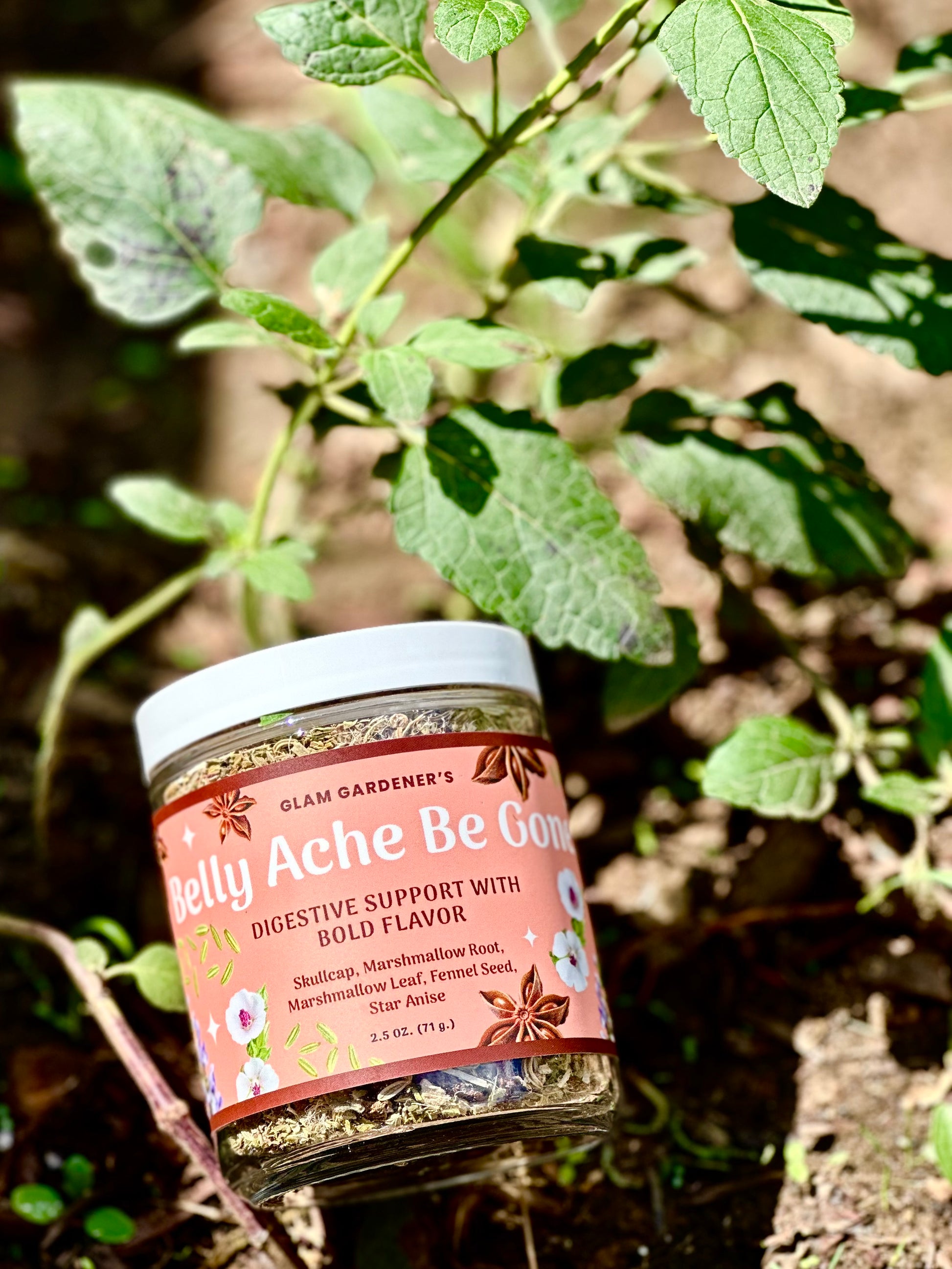 A jar of Glam Gardener's Belly Ache Be Good digestive support seasoning, featuring a white lid and a pinkish-orange label with illustrations, set against a background of green garden leaves and soil.