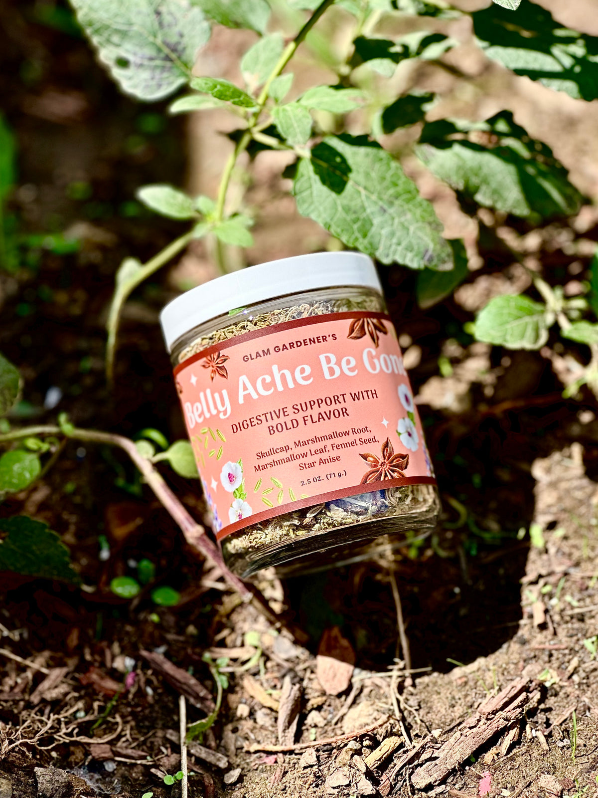 A jar of belly ache relief herb blend by Glam Gardener's is shown outdoors nestled among native Skullcap and soil.