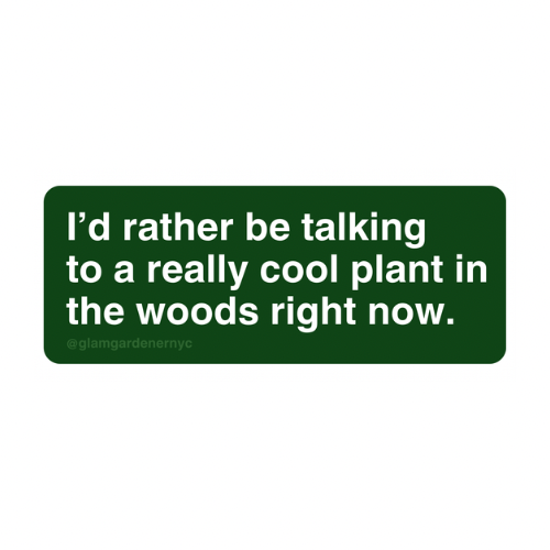 A sticker made by Glam Gardener NYC that says “I’d rather be talking to a really cool plant in the woods right now.” The sticker is hunter green, with white text, is rectangular, and features rounded corners. The background of the image is white.