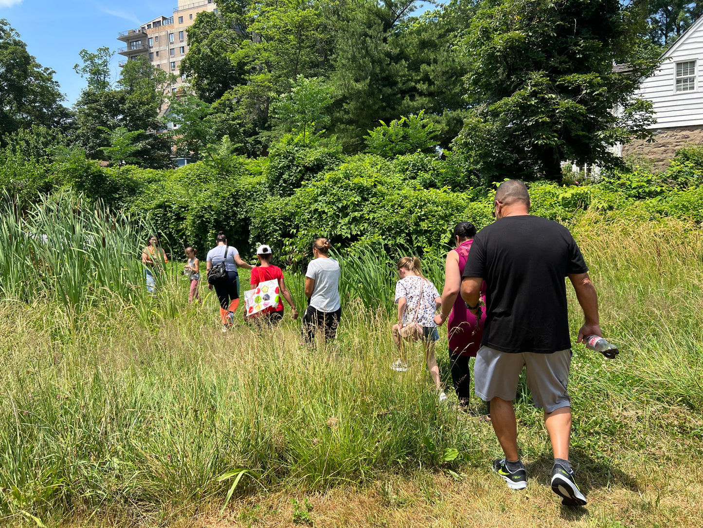 Staten Island, NY | Wild Edibles Foraging Tour & Guided Plant Walk with Glam Gardener NYC | November 11, 2023