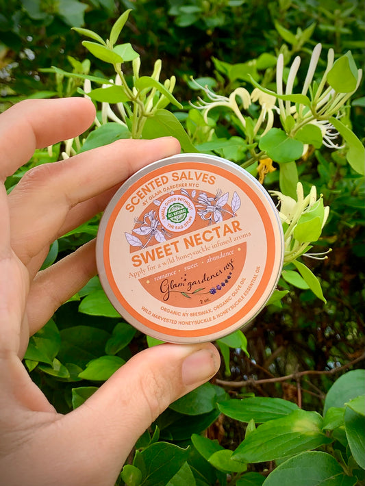 Sweet Nectar scented salve | natural solid perfume and healing lotion with wild-harvested honeysuckle flowers
