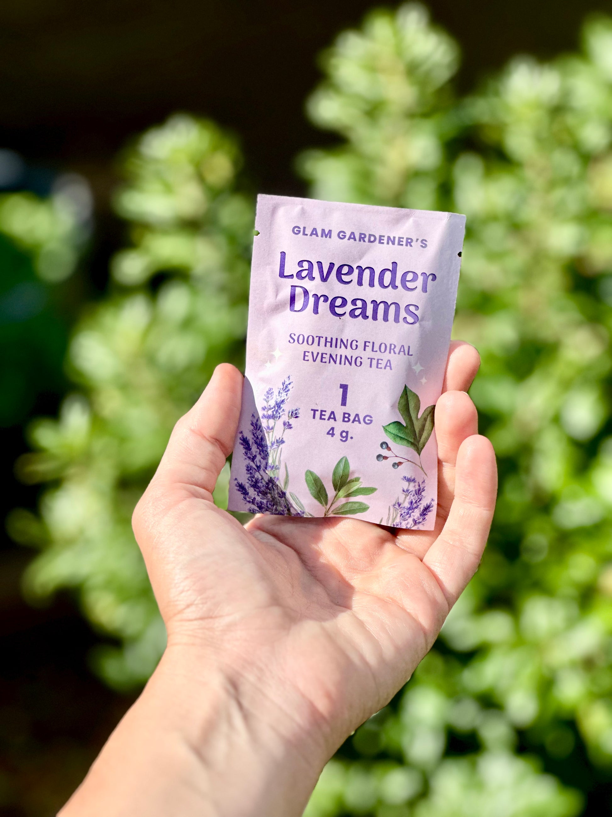 A hand holding 1 single tea bag individually wrapped by Glam Gardener, Lavender Dreams with Wildcrafted Northern Bayberry, Organic Lavender, and Wildcrafted Sassafras Leaf
