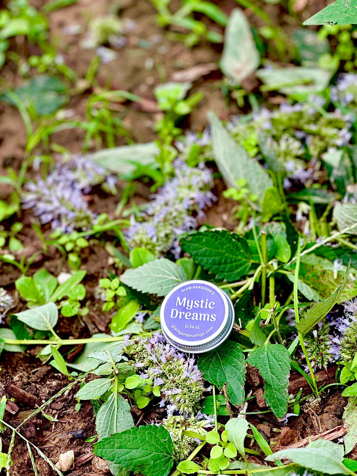 Purple container of Glam Gardener’s Mini Salve Mystic Dreams on top of purple flowers in a garden. Lavender & Mugwort 