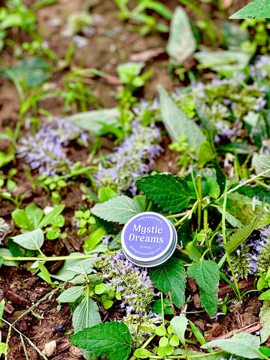 Purple container of Glam Gardener’s Mini Salve Mystic Dreams on top of purple flowers in a garden. Lavender & Mugwort 