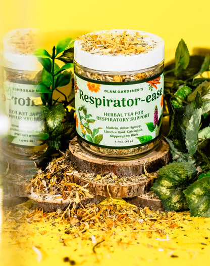 RESPIRATOR-EASE • Loose leaf herbal tea for Respiratory support with American-grown & organic Mullein, Licorice root, Anise Hyssop, Slipper Elm and Calendula