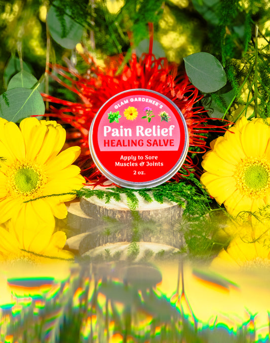 Pain Relief • Healing Salve for sore muscles and joints • Arnica, Comfrey, Peppermint Essential Oil