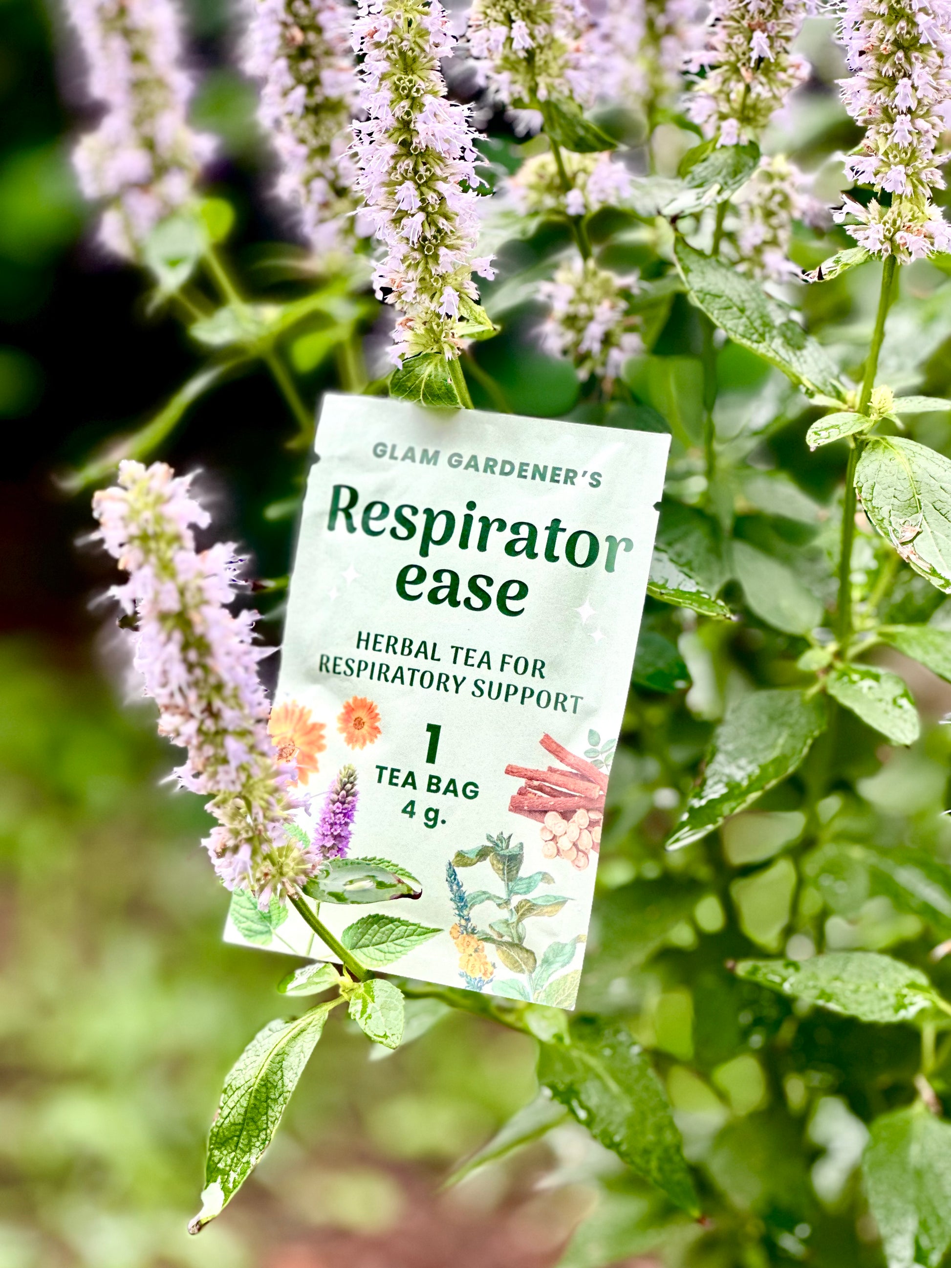A tea bag package labeled 'Respirator ease' by Glam Gardener's is shown hanging among green leaves and light purple flowers outdoors. with Mullein, Licorice Root, Slippery Elm Bark, Calendula, and native Anise hyssop.