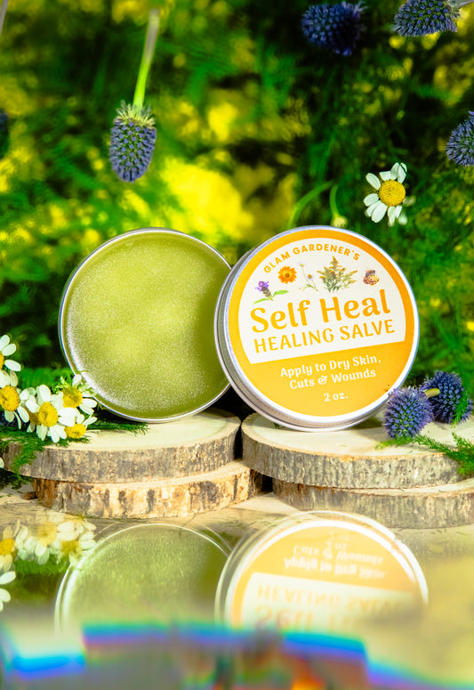 Self Heal scented salve, healing lotion, and natural perfume with organic calendula, organic chamomile, wild-harvested goldenrod, and wild-harvested self heal for cuts, burns, wounds and dry skin