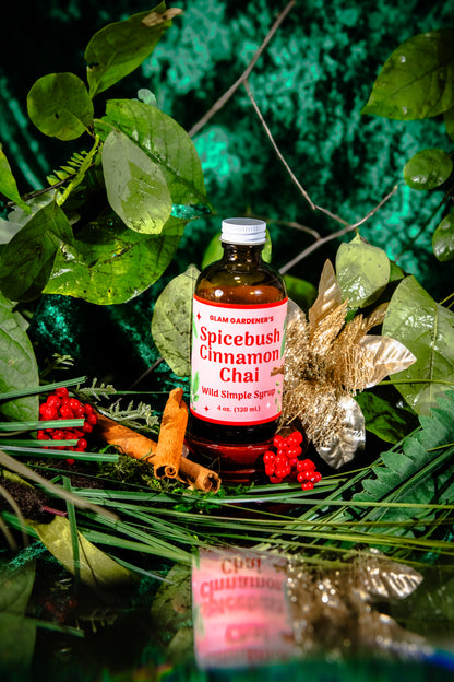 Glam Gardener's Spicebush Cinnamon Chai Simple Syrup with organic and wildcrafted ingredients. Cinnamon, Wild Spicebush (Lindera benzoin), Cardamom. Organic sugar and handcrafted. Red label and floral background. Hand harvested wild spicebush leaves. Simple syrup for fall and winter.