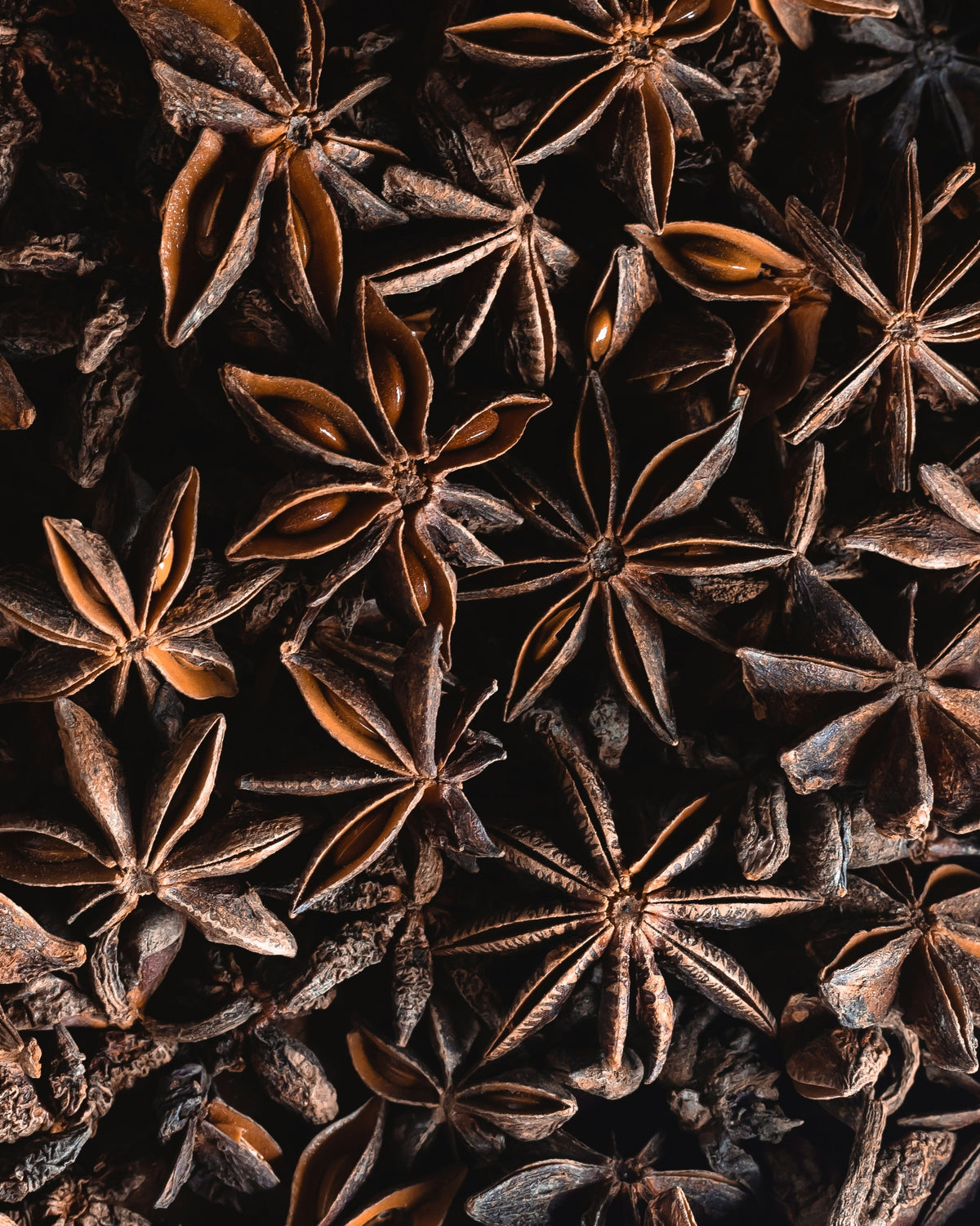Photo of Star Anise Pod for Glam Gardener's blog. Photo is not copyrighted. Available for free download at Unsplash. Photo by Ulian Kopanytsia