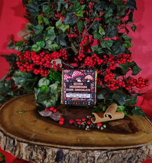 Stoffo’s 7 Mushroom Dark Chocolate Bar with Chaga, Reishi, Lion’s Mane, Turkey Tail, Cordyceps, Shiitake & Maitake