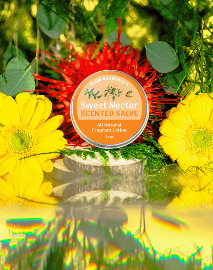 A 2 ounce tin of Glam Gardener’s lSweet Nectar' scented salve and all-natural fragrant lotion infused with authentic Honeysuckle absolute oil, with a blurred floral background. The salve is 2 ounces and all natural, handcrafted by Glam Gardener NYC.