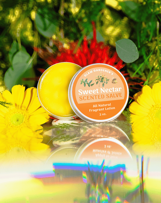 An open tin of Glam Gardener’s lSweet Nectar' scented salve and all-natural fragrant lotion infused with authentic Honeysuckle absolute oil, with a blurred floral background. The salve is 2 ounces and all natural, handcrafted by Glam Gardener NYC.