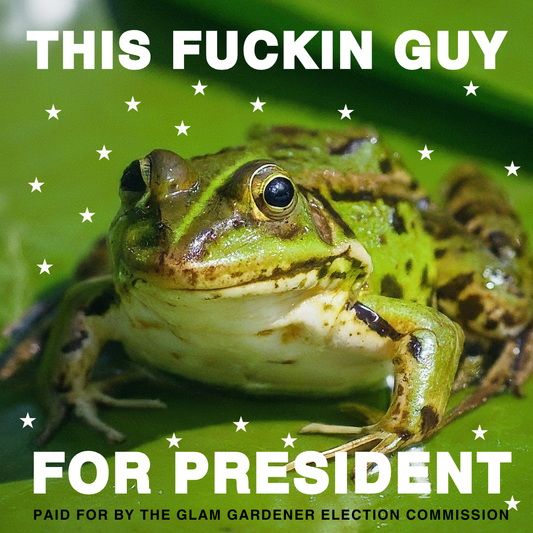 This f*ckin' guy for president frog sticker