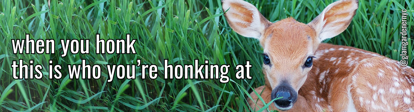 When you honk, this is who you're honking at baby deer bumper sticker