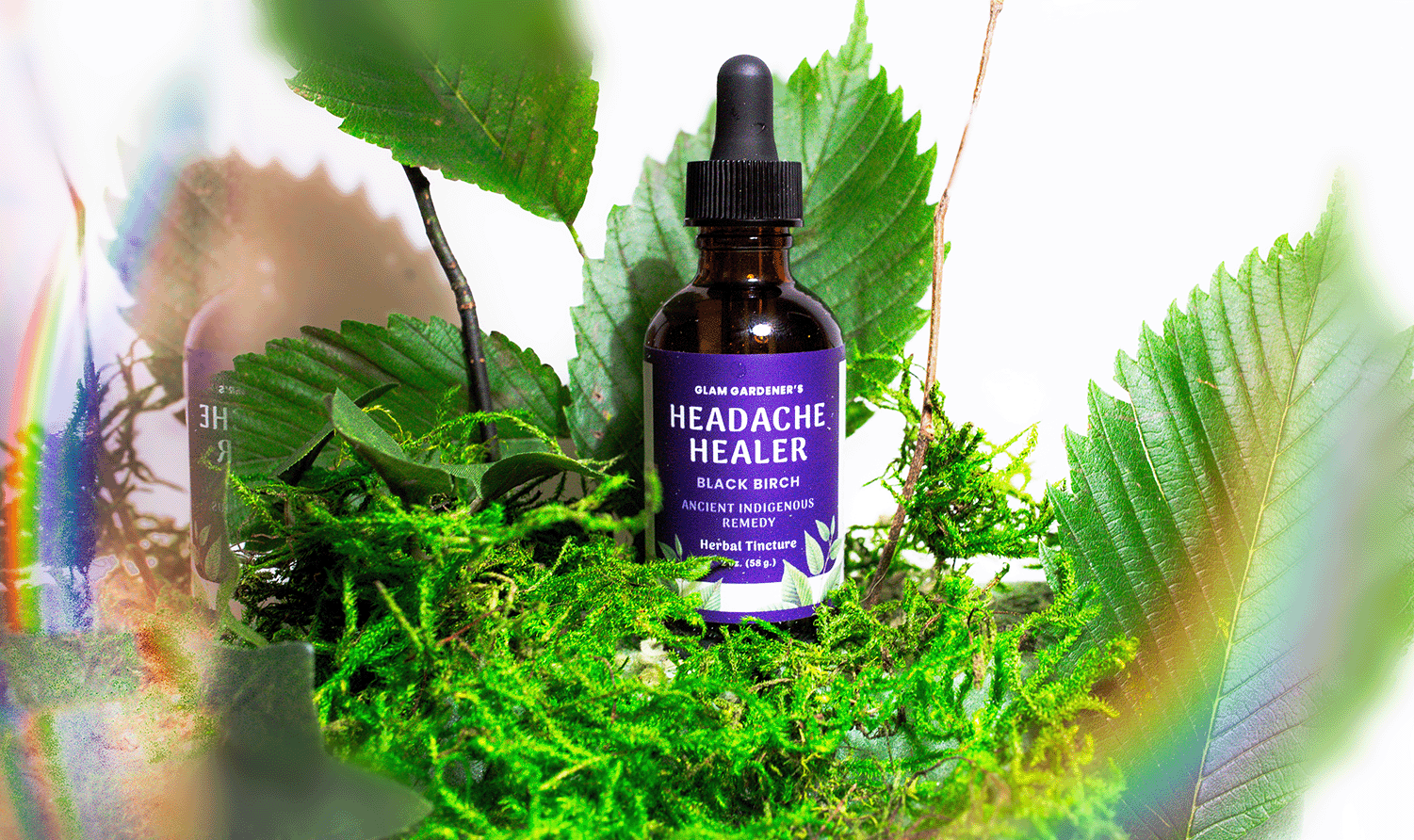 Black birch herbal tincture by Glam Gardener NYC called headache healer. With organic vegetable glycerin and wildcrafted black birch.