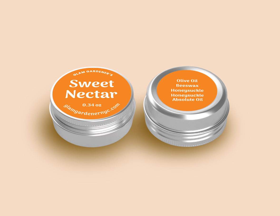 Sweet Nectar • Mini Salve • Authentic Honeysuckle absolute oil