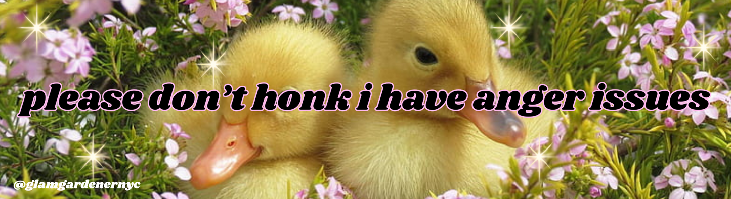 Please don't honk I have anger issues duck bumper sticker