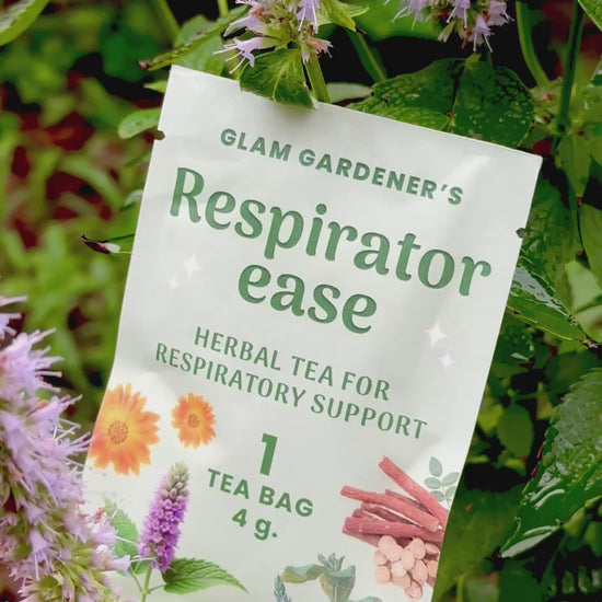 Respiratorease Video Single Tea Bag Glam Gardener Sitting in Anise Hyssop Flower