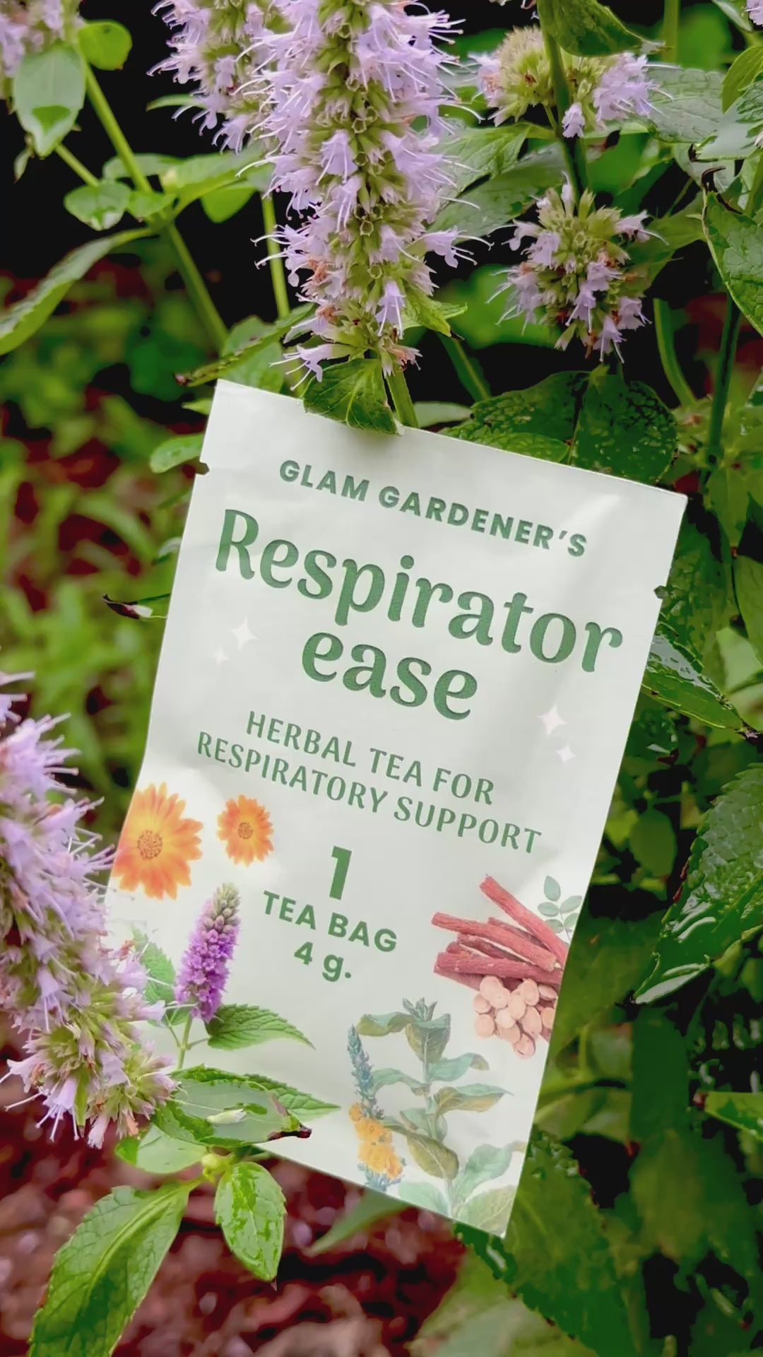Respiratorease Video Single Tea Bag Glam Gardener Sitting in Anise Hyssop Flower