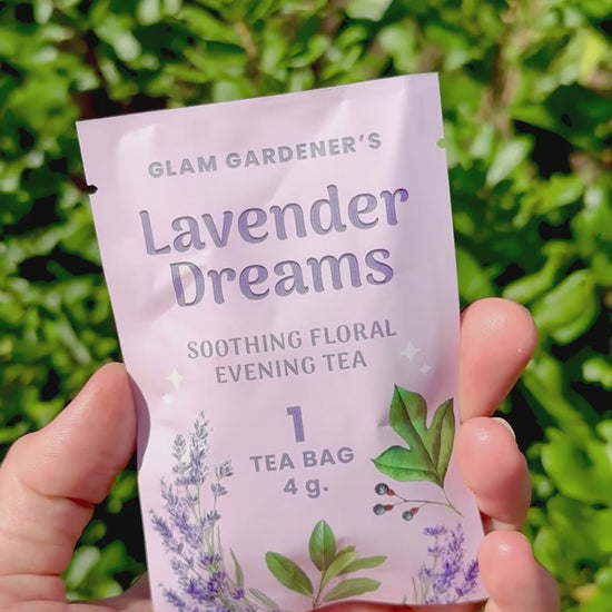 Lavender Dreams by Glam Gardener Single Tea Bag held in hand against green bayberry background to show size, front, and back of packaging.