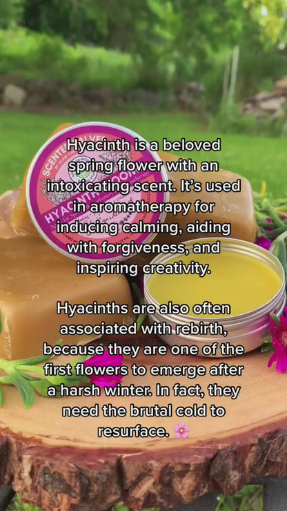 HYACINTH BLOOMS | Natural solid perfume and hydrating lotion infused with Hyacinth absolute oil